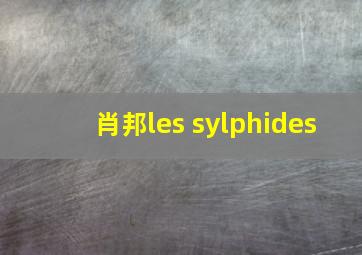 肖邦les sylphides